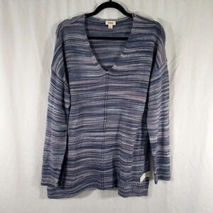 New a.n.a Sweater Women's Large Purple Striped Knit Long Sleeve Vneck Pullover